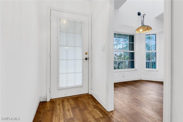 doorway featuring hardwood / wood-style flooring