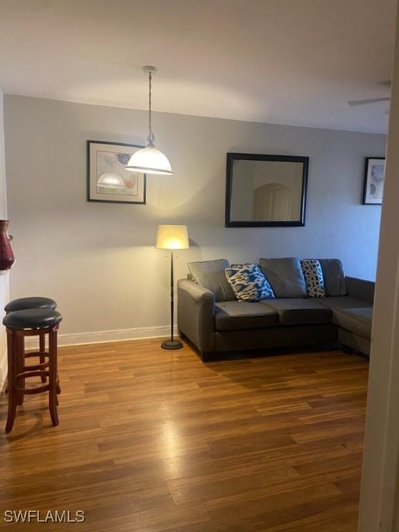 living room featuring wood-type flooring