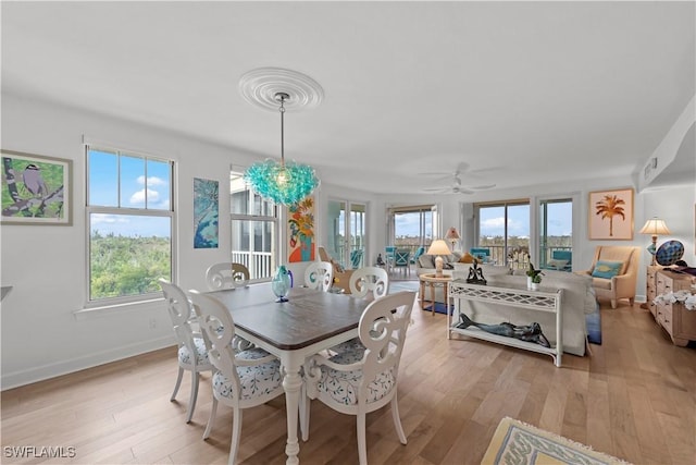 dining area featuring ceiling fan and light hardwood / wood-style floors