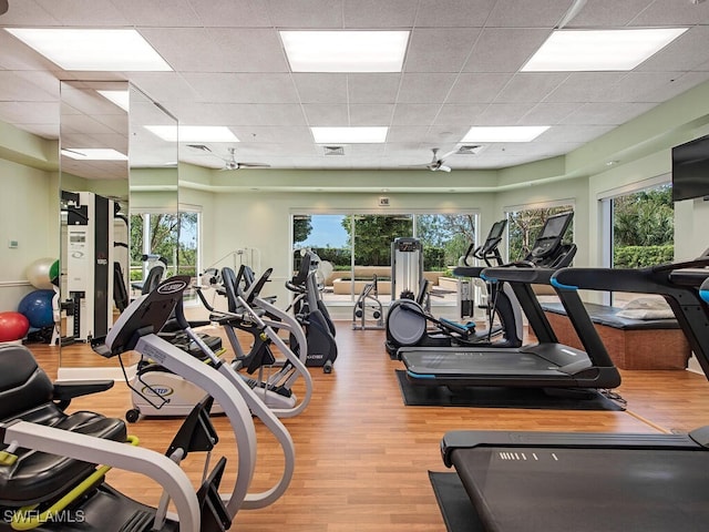 7425 Pelican Bay Blvd Unit 301, Naples, FL 34108 - workout area featuring a wealth of natural light, a paneled ceiling, and light wood-type flooring