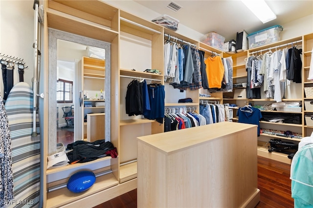 spacious closet with wood-type flooring