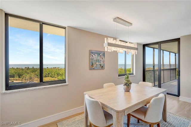 dining area featuring floor to ceiling windows, a water view, a healthy amount of sunlight, and light hardwood / wood-style flooring