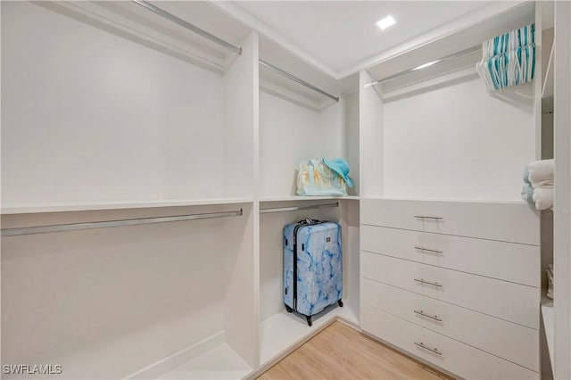 spacious closet featuring hardwood / wood-style floors