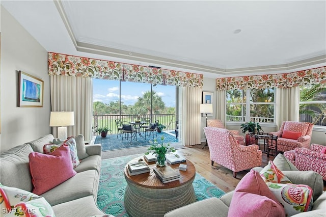 living room featuring light hardwood / wood-style floors and a tray ceiling