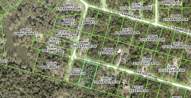 Easter Dr, Webster FL, 33597 land for sale