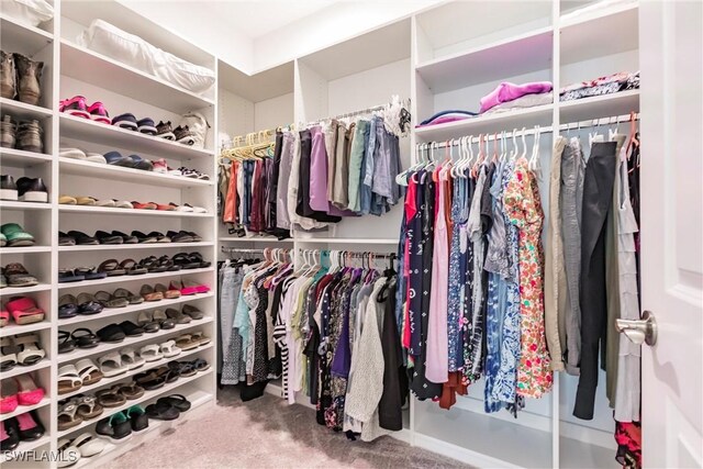 walk in closet featuring carpet floors