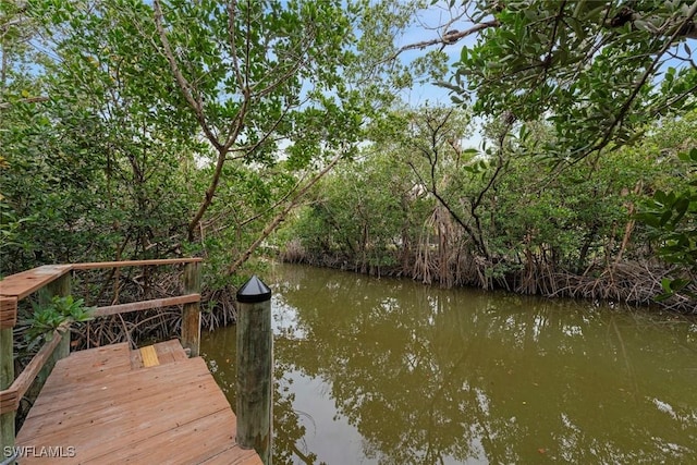 dock area featuring a water view