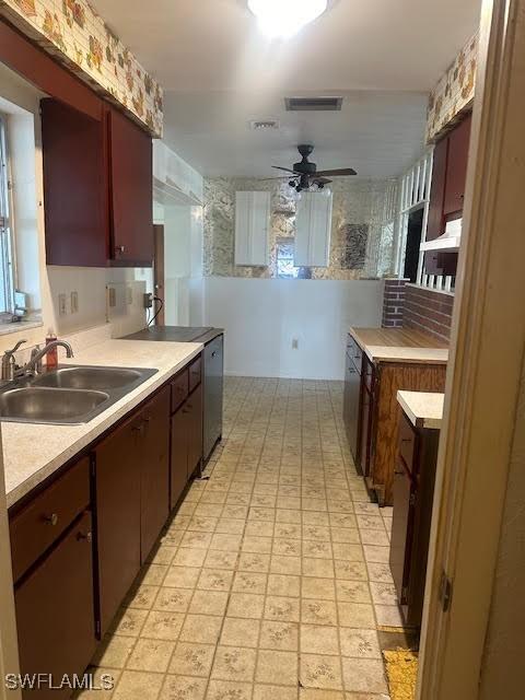 kitchen featuring sink, tasteful backsplash, dark brown cabinets, dishwasher, and ceiling fan