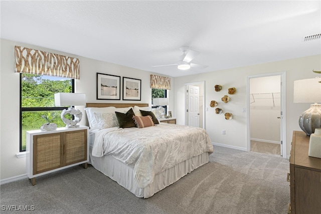 bedroom with ceiling fan, carpet floors, a closet, and a spacious closet