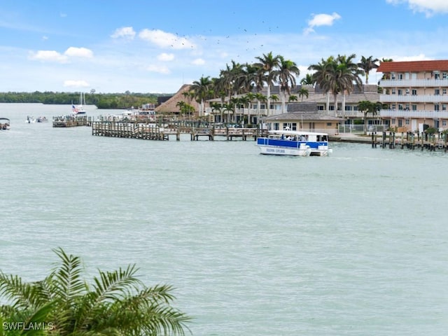 view of water feature featuring a boat dock