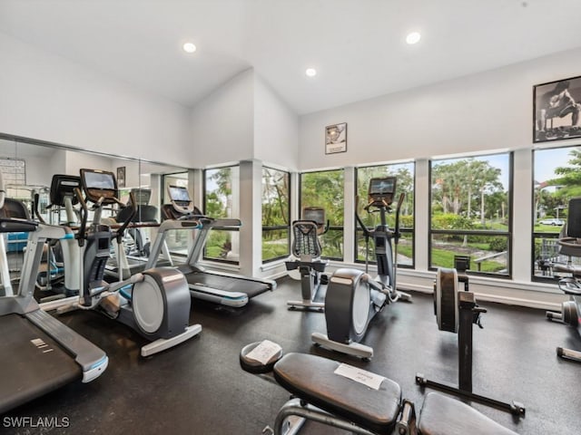 gym featuring a high ceiling