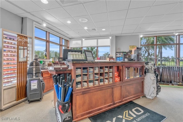 misc room with a paneled ceiling, light colored carpet, and plenty of natural light