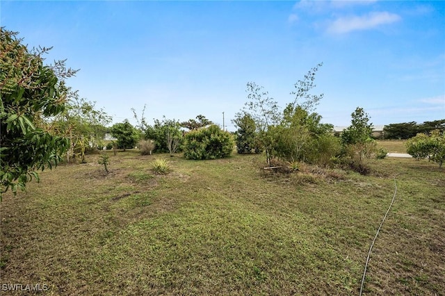 view of yard featuring a rural view