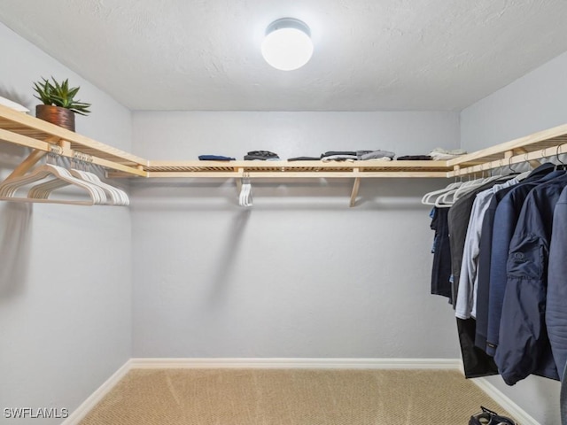 spacious closet with carpet flooring