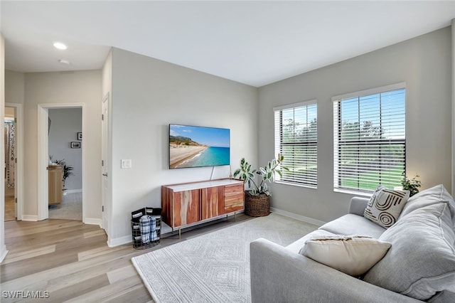 living room with light hardwood / wood-style flooring