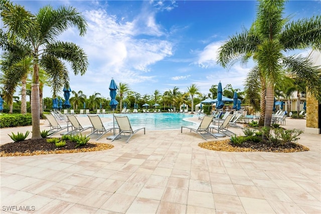 view of pool featuring a patio area