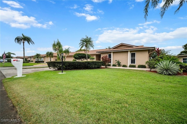 ranch-style house with a front lawn