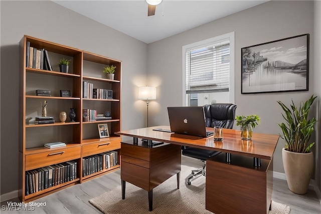 office space featuring ceiling fan and light hardwood / wood-style floors