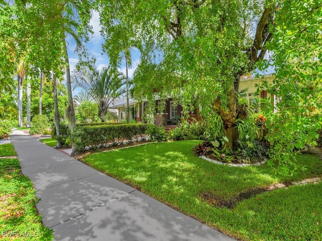 view of property's community featuring a yard