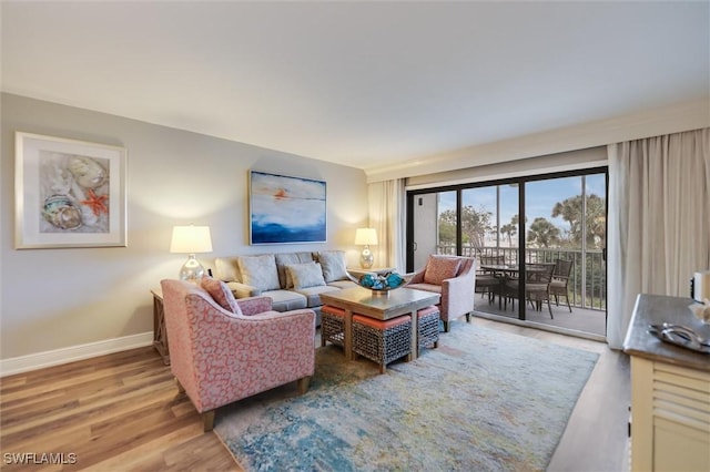 living room with wood-type flooring