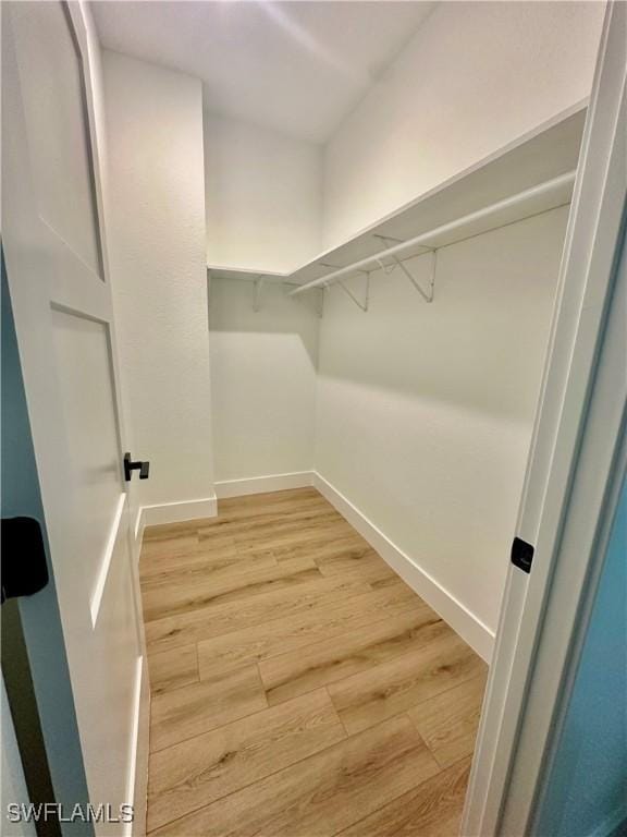 walk in closet with hardwood / wood-style flooring