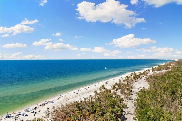 water view with a view of the beach