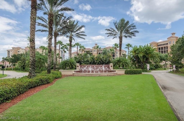 view of home's community with a lawn