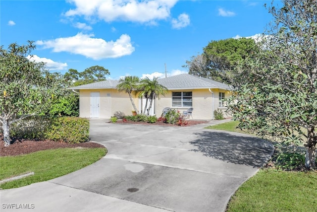 ranch-style home with a front yard