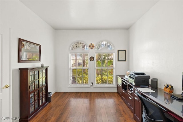 office featuring dark hardwood / wood-style flooring