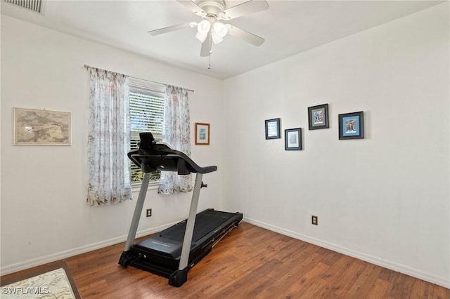 exercise area featuring ceiling fan and hardwood / wood-style floors