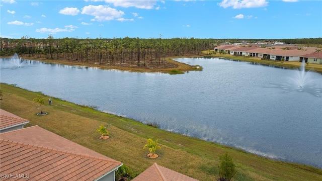 property view of water