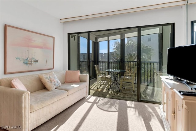 doorway to outside with light colored carpet