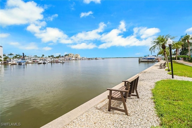 dock area with a water view