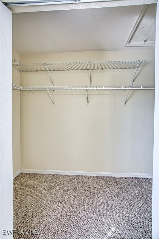 walk in closet with carpet