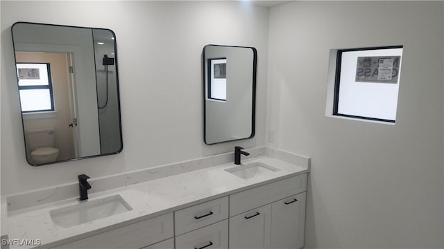 bathroom with vanity and toilet