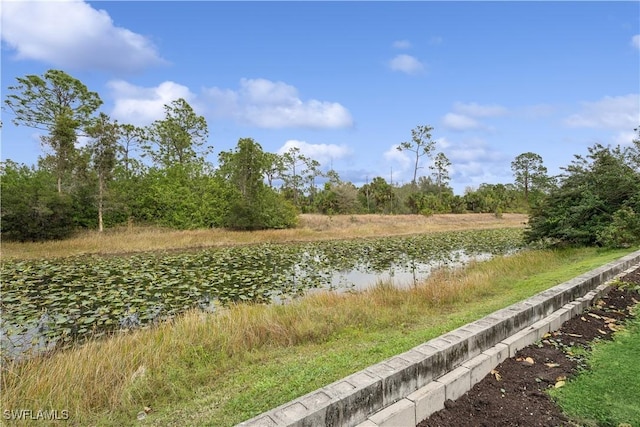 view of water feature