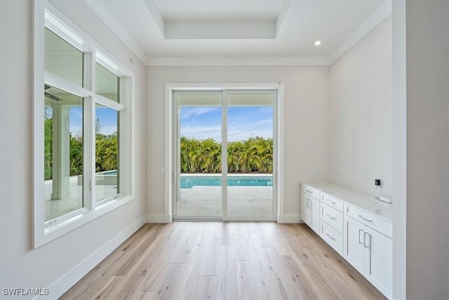 doorway to outside featuring light hardwood / wood-style floors and a tray ceiling