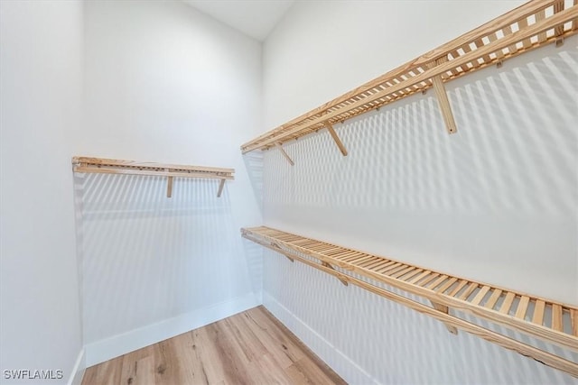 spacious closet with hardwood / wood-style flooring