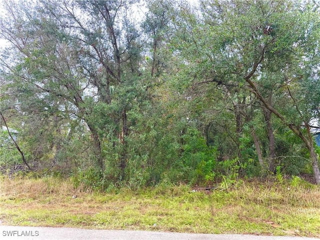 4649/4651 24th St SW, Lehigh Acres FL, 33973 land for sale