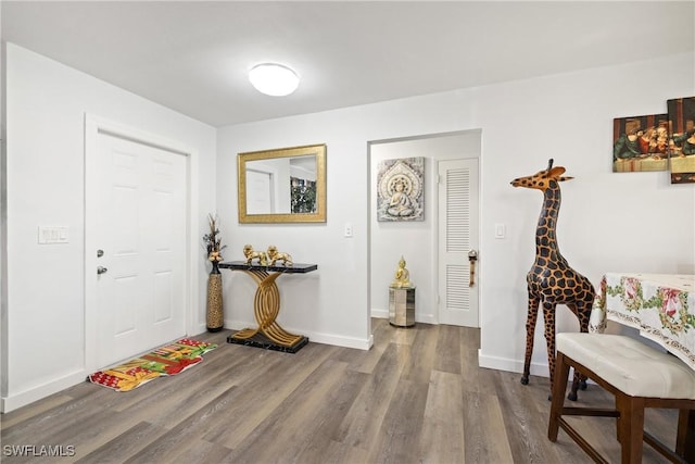 foyer with hardwood / wood-style floors