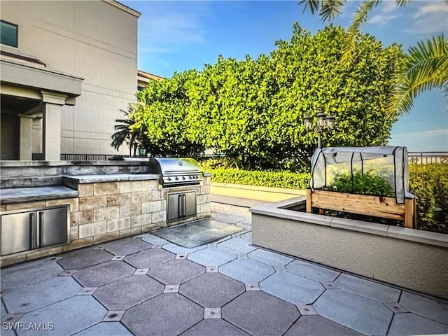 view of patio / terrace with exterior kitchen and area for grilling