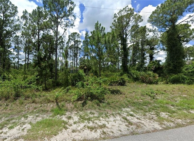 3407 74th St W, Lehigh Acres FL, 33971 land for sale