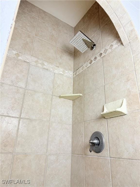 interior details featuring tiled shower