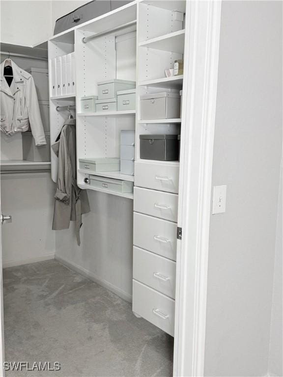 spacious closet with carpet