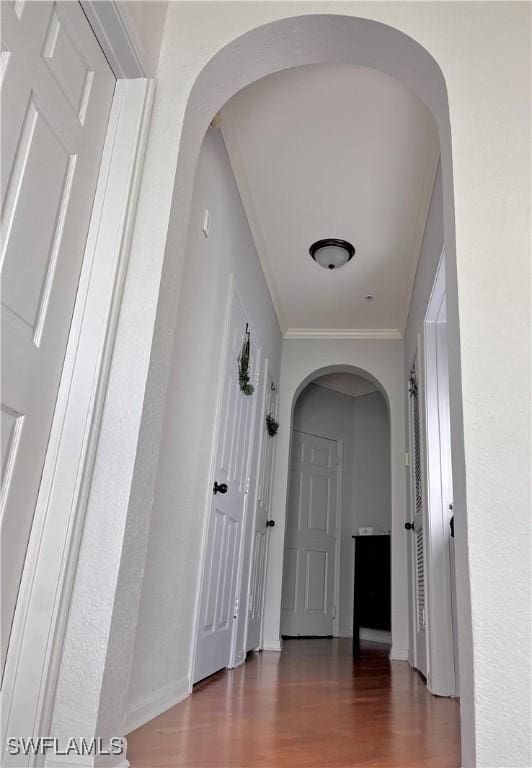 hallway featuring hardwood / wood-style flooring and crown molding