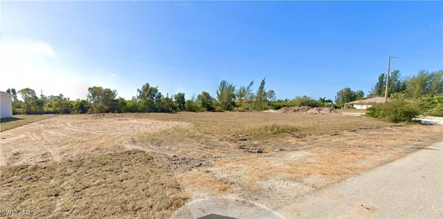 2914 NW 6th Ter, Cape Coral FL, 33993 land for sale