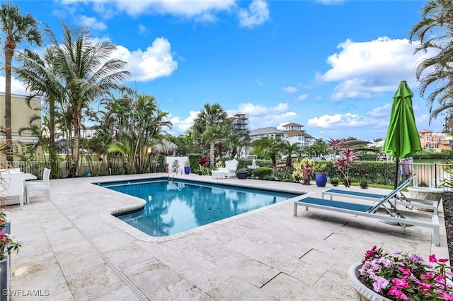 view of pool featuring a patio