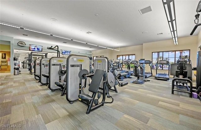 8750 Cavano St E, Naples, FL 34119 - exercise room with light colored carpet