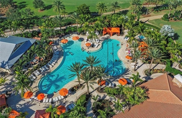 bird's eye view