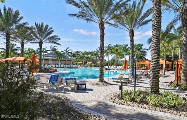 8750 Cavano St E, Naples, FL 34119 - community pool with a patio